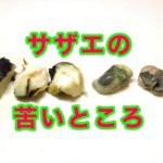 サザエの下ごしらえ:苦いところを先に取ってしまおう