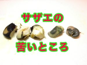 サザエの下ごしらえ:苦いところを先に取ってしまおう