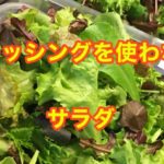 ドレッシングいらず:簡単サラダ