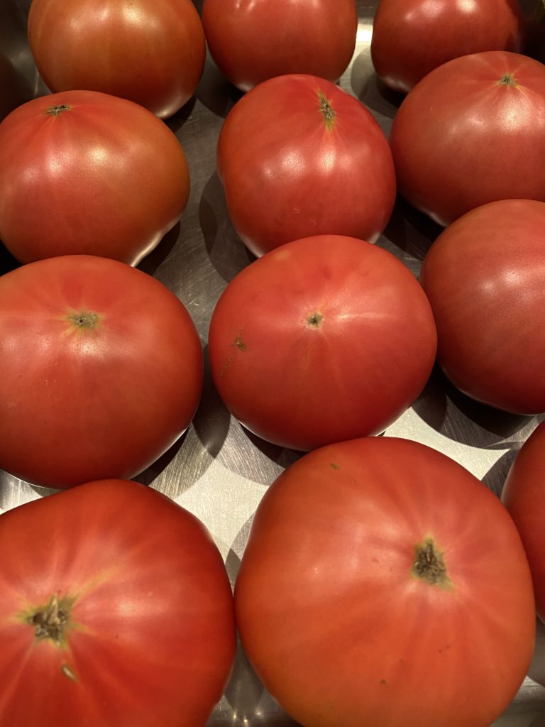 tomato
