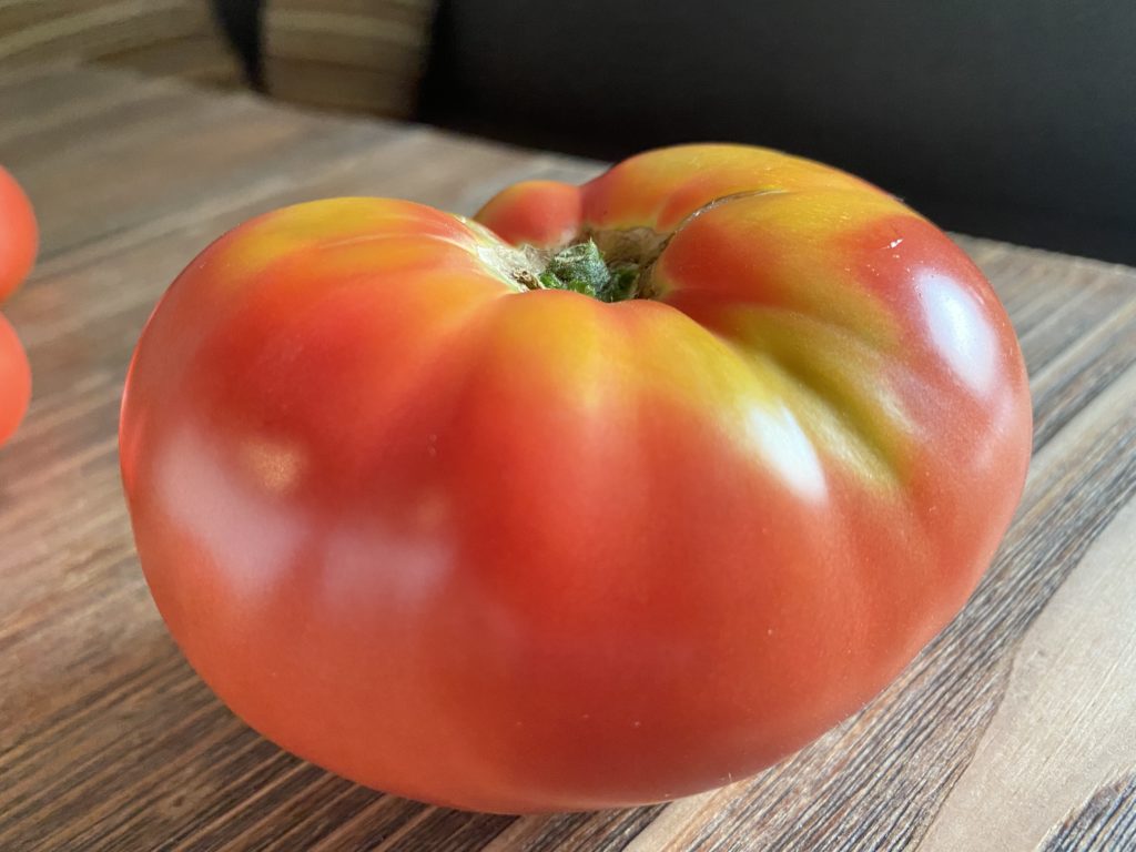 トマトの「でこぼこ」