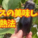 カロリーが気になる方へ ナスの焼き方 油を吸わせない方法
