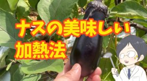 カロリーが気になる方へ ナスの焼き方 油を吸わせない方法