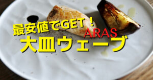 [生涯保証]ARAS大皿ウェーブのレビューとお得な買い方
